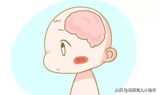 懵懂德年纪|胎儿大脑发育有3个黄金时间，孕妈把握住了，宝宝定会是高智商