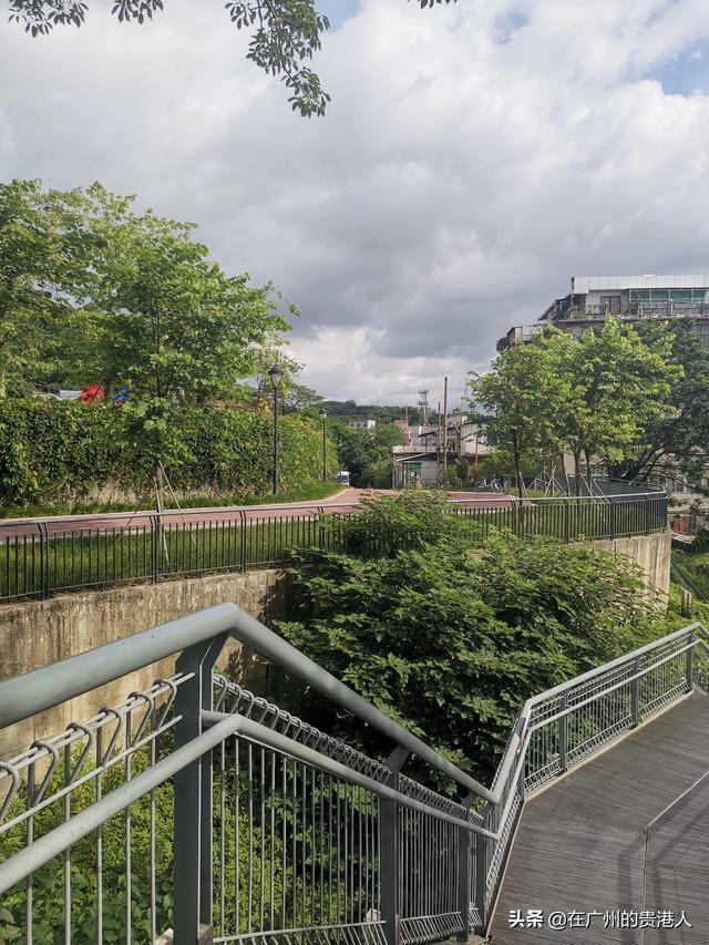 【山楂味的诗】走马观花,看顺德大良。