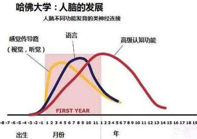 哈佛研究发现：孩子一生有3次变聪明的机会，但并不是“初中”