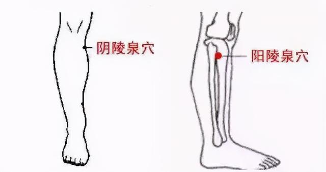 《疏调养生谈》针灸—疏调气机法预防更年期（肝郁气滞证）