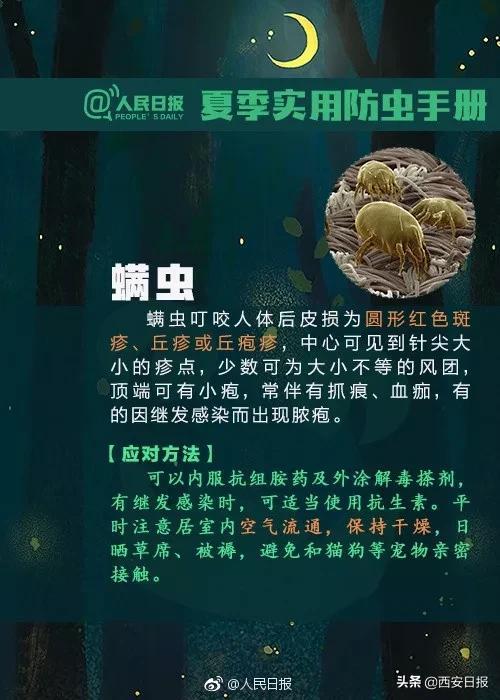 叮咬|清明出游后腿上多了几个红斑，医生紧急提醒：千万小心它，可致命