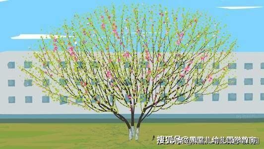 你的育儿经@13篇儿童古诗，现代原创，精短小诗，幼儿园里面最喜欢，收藏啦