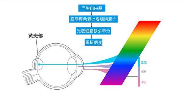 超级宝妈|进口读写作业台灯如何选