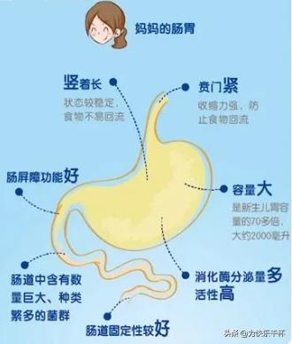 「你的育儿经」宝宝吐奶，喂奶时你做错了哪一步？