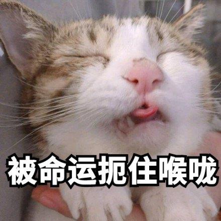 超级宝妈|《柳叶刀》子刊:做好这件事,大大降低娃的哮喘风险