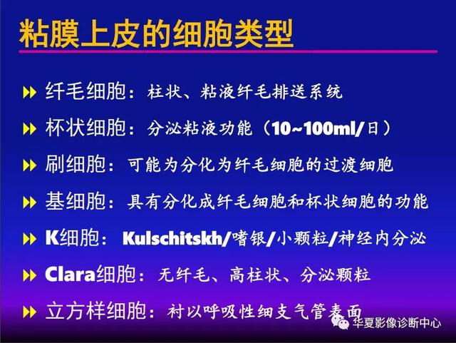 肺间质性疾病的解剖、病理、影像分析