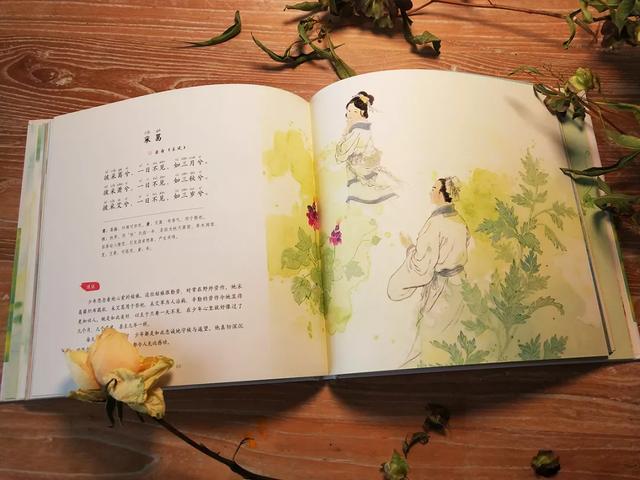 [超级宝妈]《诗经》那么美，读不懂多可惜