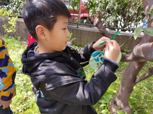 如何拥抱春天？这群幼儿园的娃娃学会了播种绿色