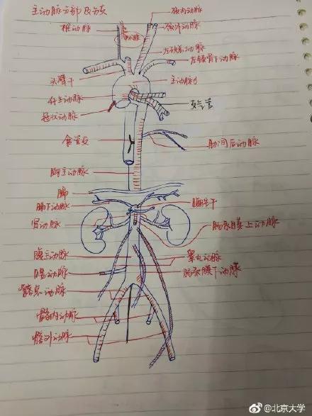超级宝妈■“我想当一名医生”当孩子这样说时，你需要及时告诉他这四点