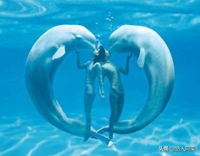 「玩乐足迹」哈尔滨十大旅游景点就像进入童话世界一样的美，你去了几个地方呢