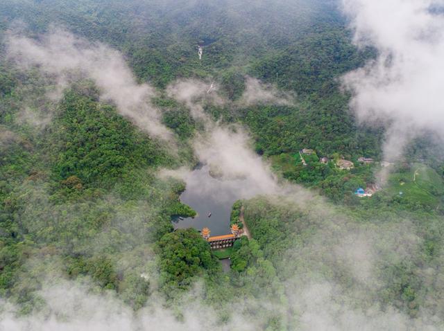 趣旅游@战“疫情” | 来星湖种下春天的希望,收获七彩的花海