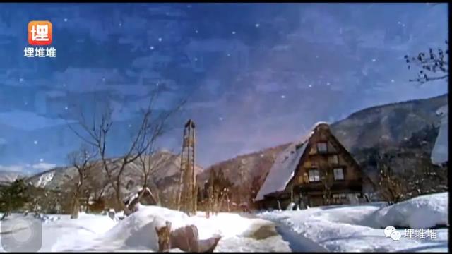 前后宣布当妈当爸,这对前任CP还有人磕吗?|影视交流地