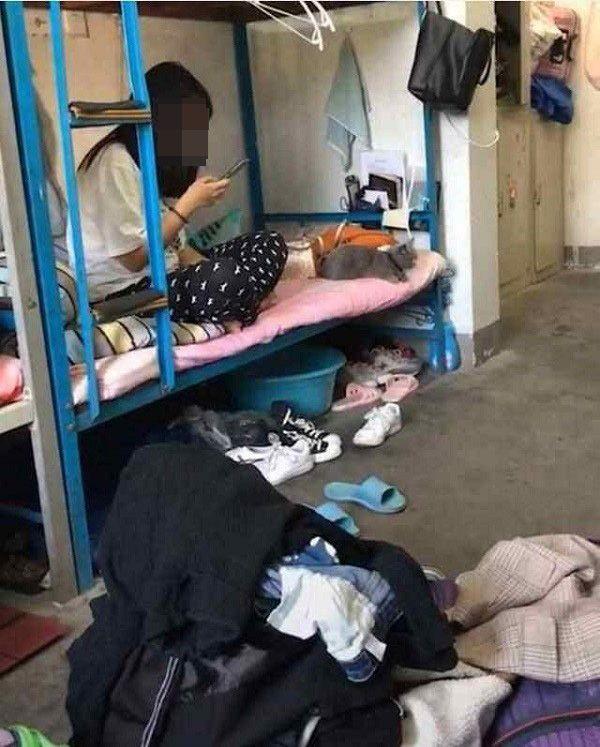 「小树丫」想让孩子更出色？家长在这些方面要“偷懒”，可惜很多人做不到