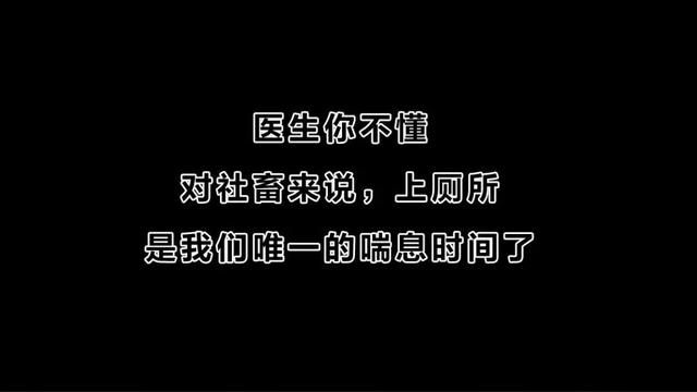 肛肠科医生访谈实录：从早到晚看几十个屁股，根本不会对你有印象