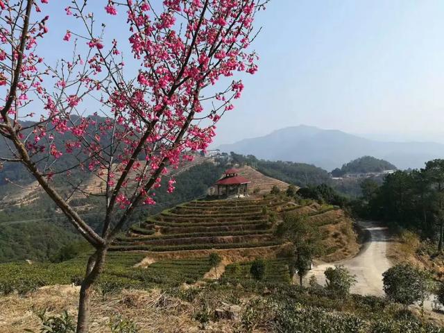 【超级宝妈】别样过假期，携手共育促成长——家乡篇