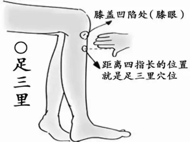 阳气不足向天“借”