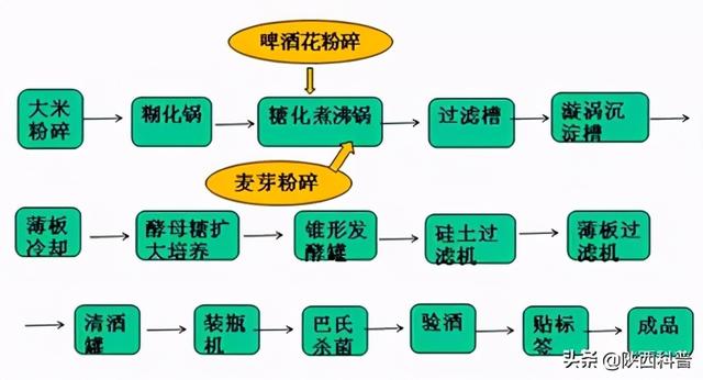 为什么啤酒瓶大多是绿色的？啤酒肚是喝啤酒喝的？