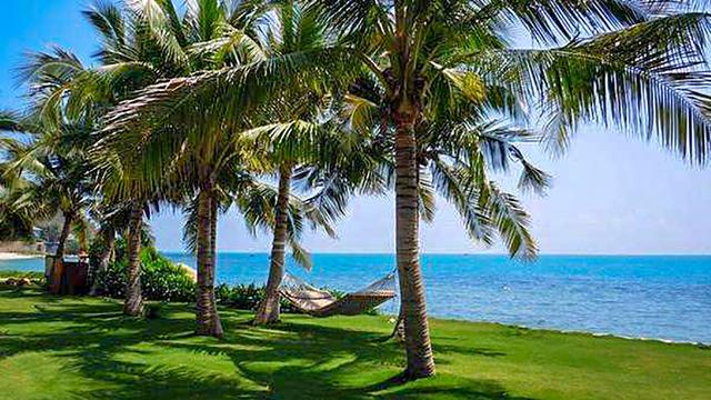 约吗旅行@椰梦画廊三亚湾为什么能吸引那么多各地游客慕名前来