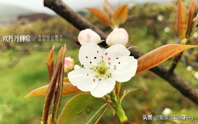 超级宝妈▲背诵就皱眉头?让孩子在玩中学习,学习中玩,轻松磨耳朵