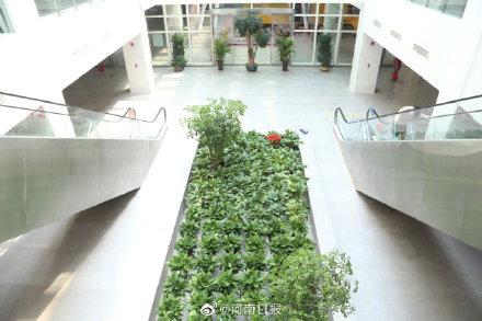 医院|阜外华中医院一个月内免挂号费