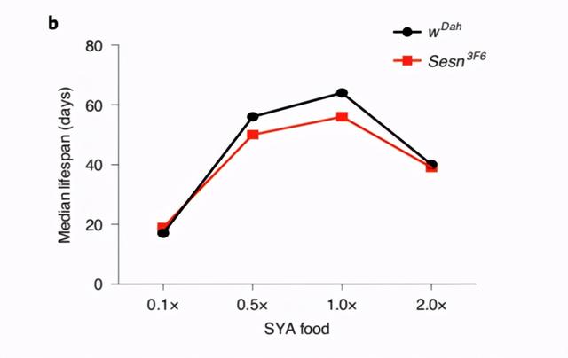 《Nature》子刊文章明确饮食限制机制，吃的越少，活的越久
