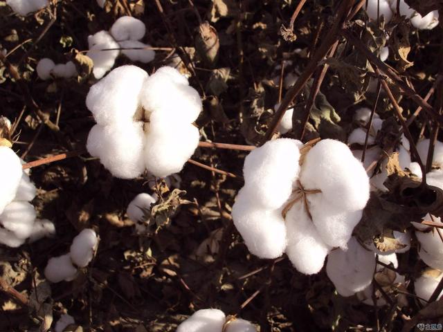 我双十一买了10套四件套，收货后想给你7条建议和3个省钱秘诀