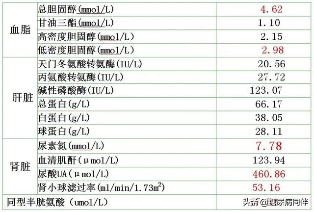 2型糖尿病伴肾病病的精细化照护治疗