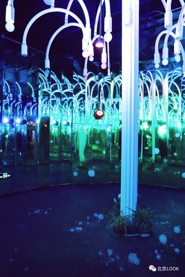 「玩乐足迹」北京首家室内动物园 · 和羊驼浣熊一起玩