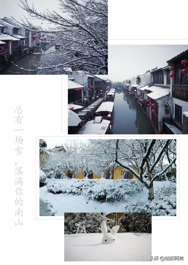 总有一场雪，落满你的南山