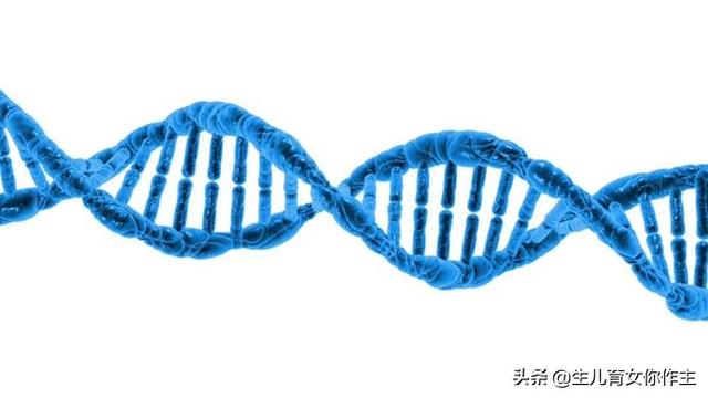 亲情家族|备孕须知:生理知识:也许你不知道的遗传病知识(1)