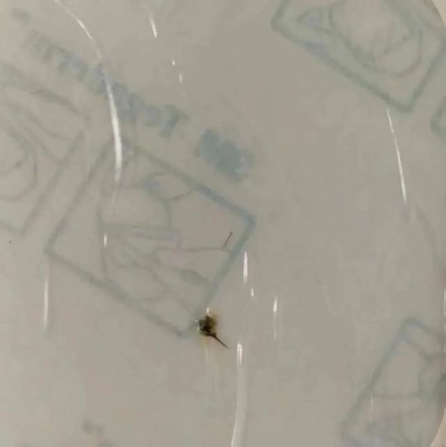 眼睛|温州一女子，有虫子飞进眼睛，揉了揉，差点失明