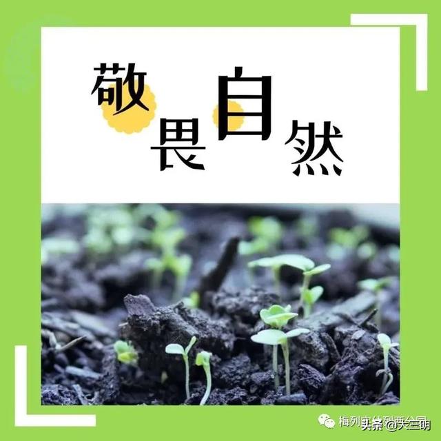 「你的育儿经」敬畏自然 行有所止——梅列实幼列西分园与你一起期待春暖花开