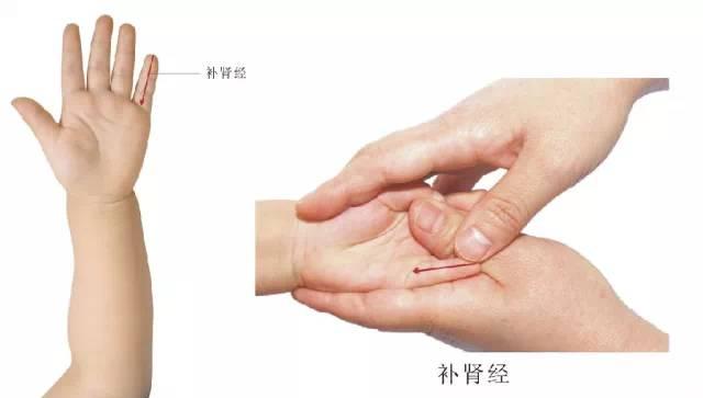 【超级宝妈】【每日一穴】小儿推拿手臂部常用穴位（肾经）—5