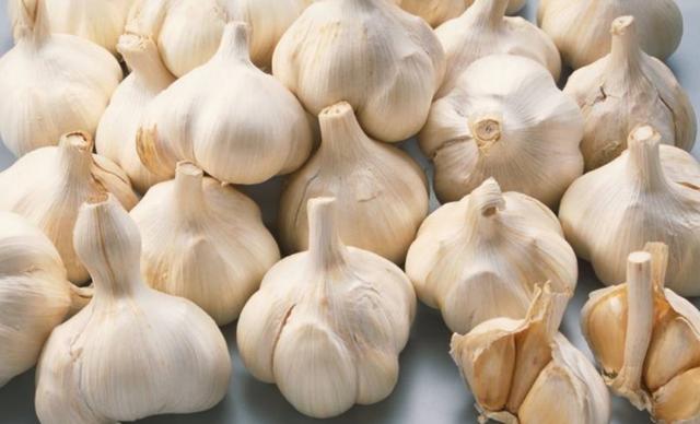 大蒜养花，防腐、防虫还能促发芽，好处多不胜举