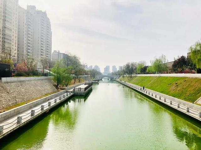 「旅行百事通」实名曝光西安这几个地方的春天，太美了…