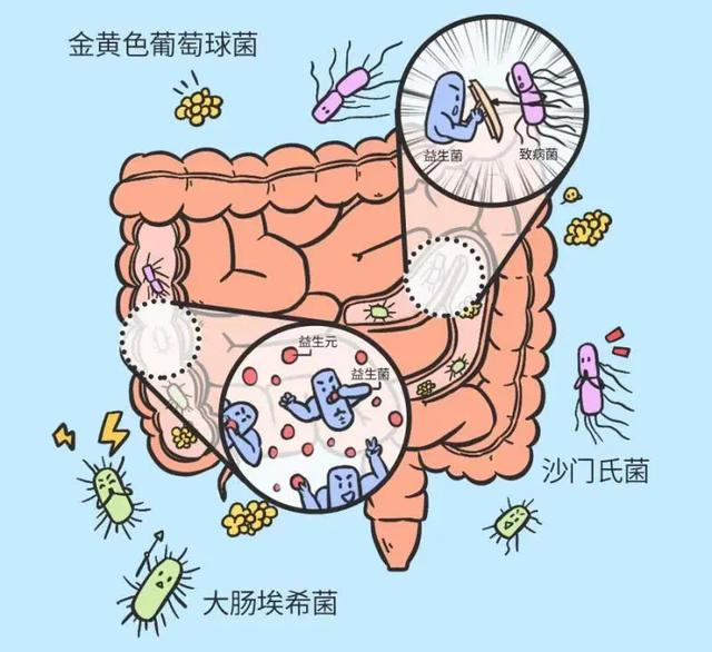 蹲坑许久却颗粒无收？想排便通畅，记牢一个知识点