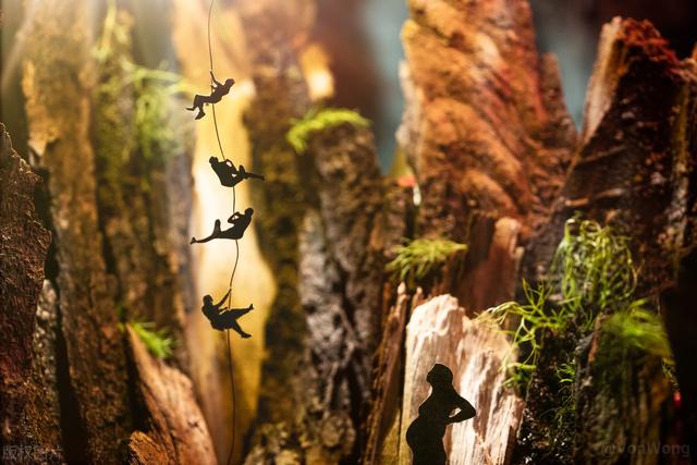 花一样的青春|怀孕8个月攀岩滑雪走钢丝：只是拍个孕妇照，要不要这么拼？