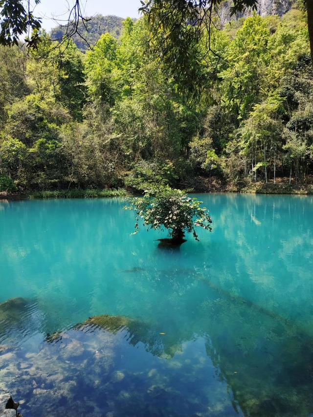 #约吗旅行#广州出发2小时到达,两天玩转荔波大小七孔,白领周末任性游攻略