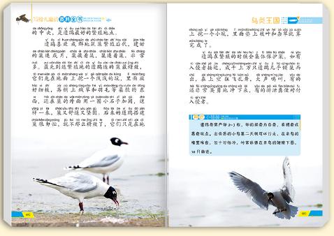 [你的育儿经]著名教育家洪兰：激活孩子大脑发育，除了阅读还有这2种方式