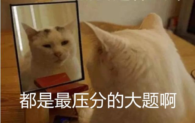 『你的育儿经』孩子第1次撒谎，我还要想方设法的去满足他，我的脑子是坏掉了吗？