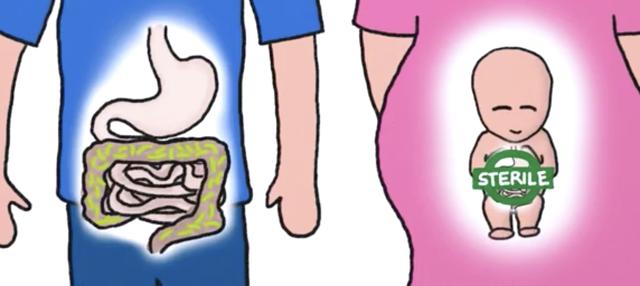 【你的育儿经】你知道肚里的胎儿会粑粑吗？