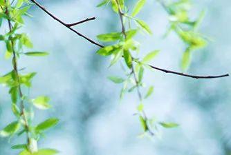 【趣旅游】春分至，福建又有知名景区将恢复开放