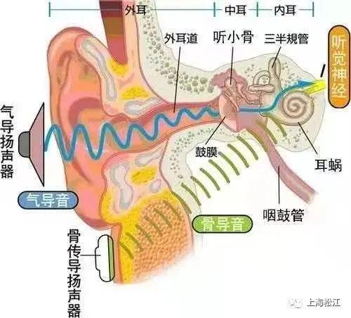 两手|嗡嗡嗡……耳鸣怎么办？松江医生来支招→