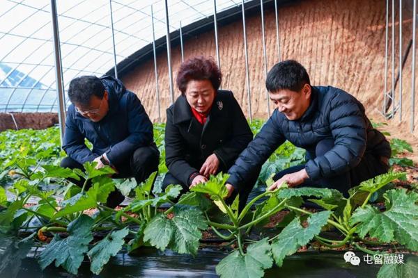 翟卫华深入部分乡镇调研大棚蔬菜产业发展情况翟卫华走