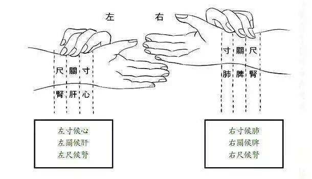 【超级宝妈】古代‘喜脉’是如何摸出来的？其实很简单，孕妇自己也可以摸