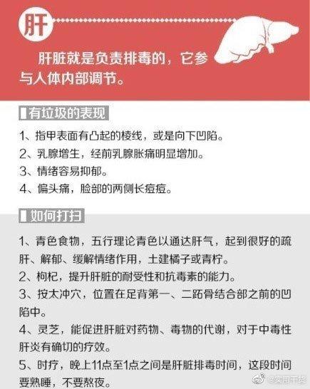 五脏六腑|给你的身体来次大扫除