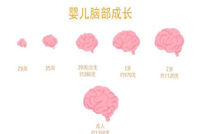 美国儿科学会：孩子变聪明有两个“黄金期”，家长要及时把握住