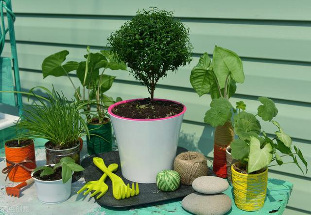 新房装修好后，哪些东西该买，哪些不该买，你知道吗？