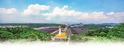 五粮液|以高质量发展推动五粮液迈向世界500强