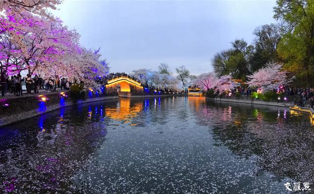 「全国党媒信息公共平台」5G+VR+4K!交汇点带您云赏江苏